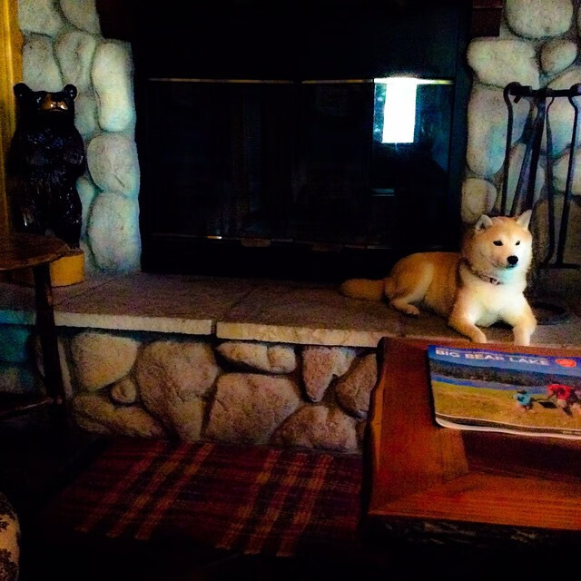 -“亲子跑步乐园！牛仔3K亲子跑让香港全家一起奔跑”