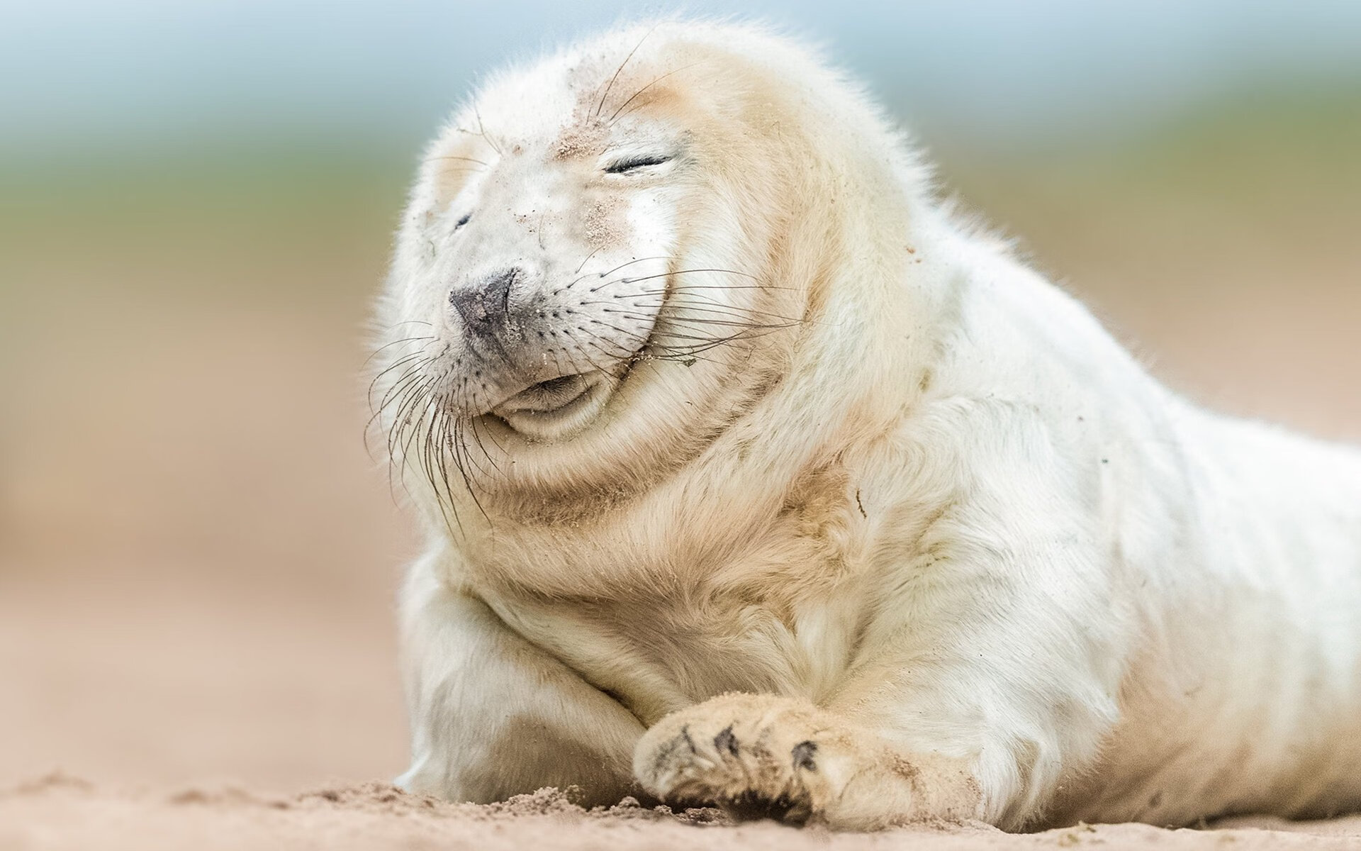 亚洲杯中国青年队晋级 球迷热切关注发展前景,足球亚洲杯中国队怎么样