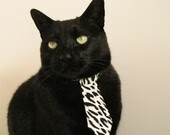 -加拿大队的全员协作：国际乒联混合团体世界杯的完美配合，加拿大乒乓球外援