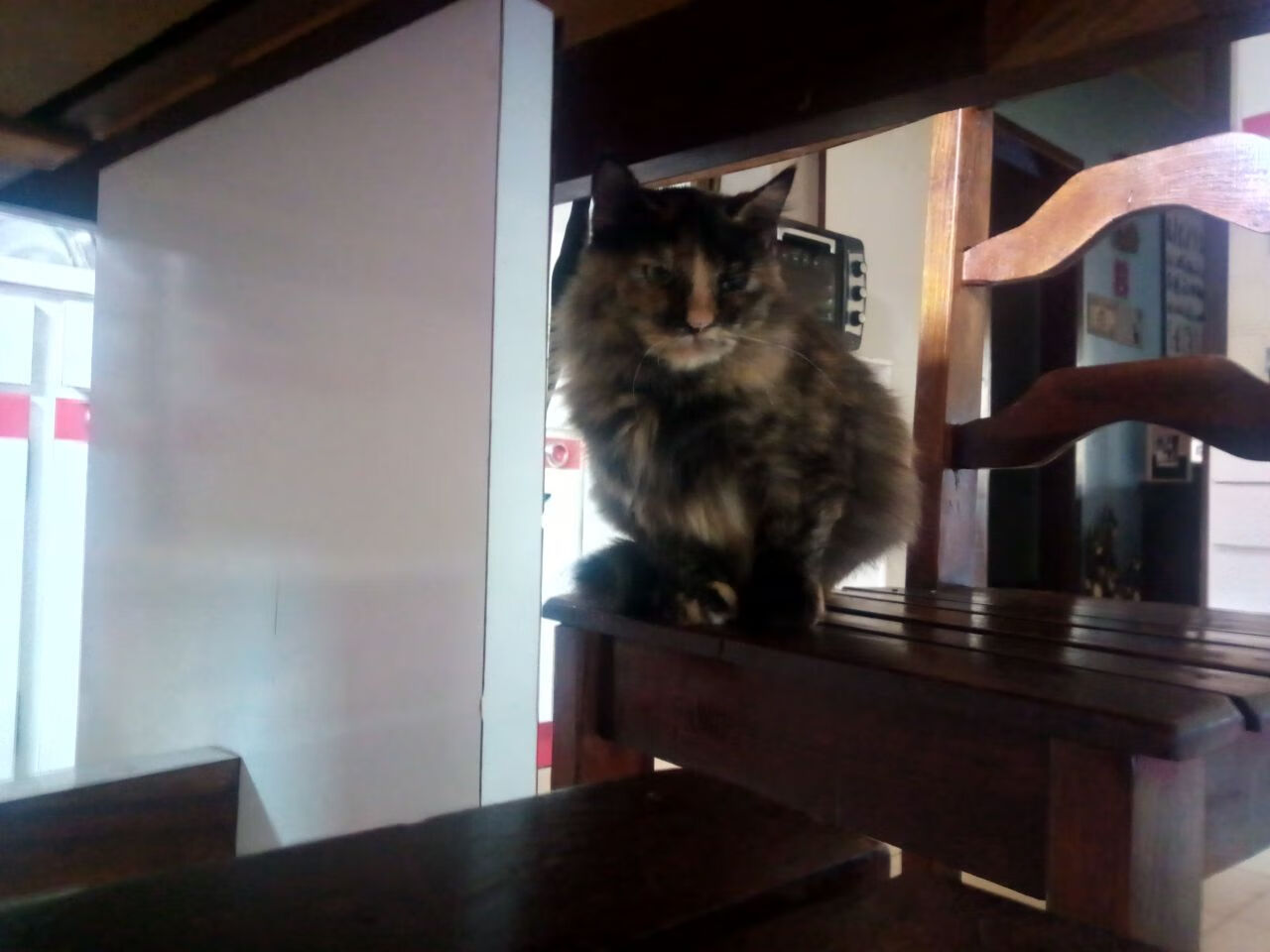 九游娱乐(jiuyou)官方网站-印度赛制解析：逐步迈向世界乒乓强国之路，印度乒乓球名将