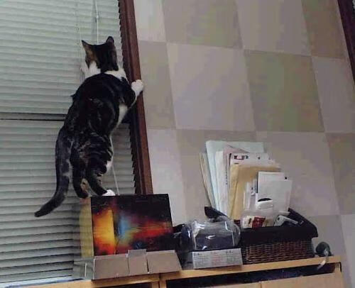 弗赖堡中前场联动打破进攻瓶颈,弗赖堡队