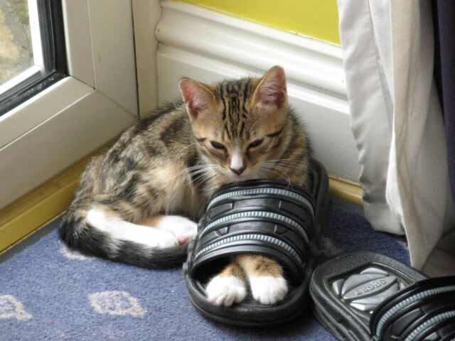 九游（jiuyou.com）游戏-温网男单半决赛激战四小时 德约科维奇晋级决赛，温网男单半决赛直播2021