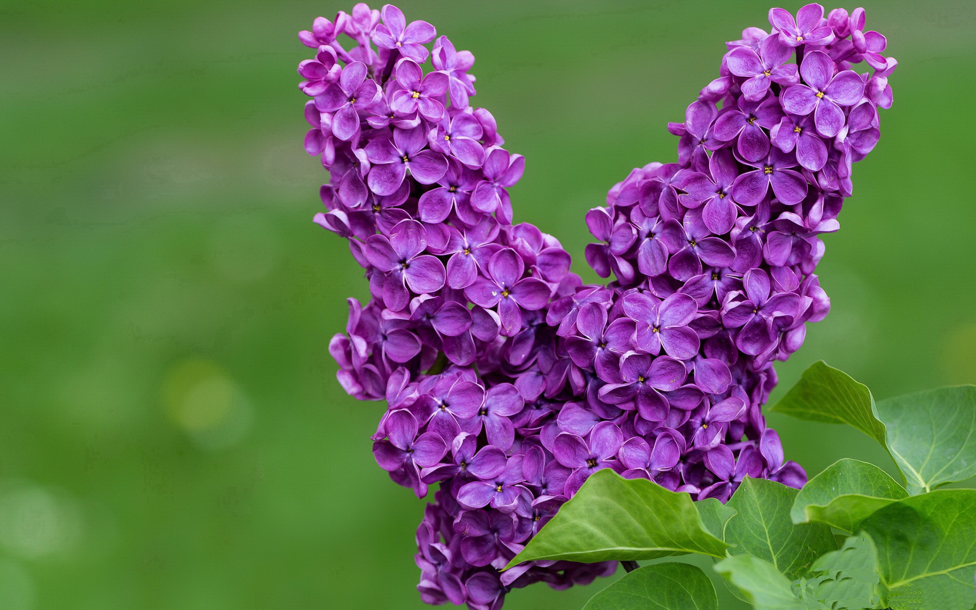 赫塔菲阵容稳定性提升掌控比赛节奏,赫塔菲7连败