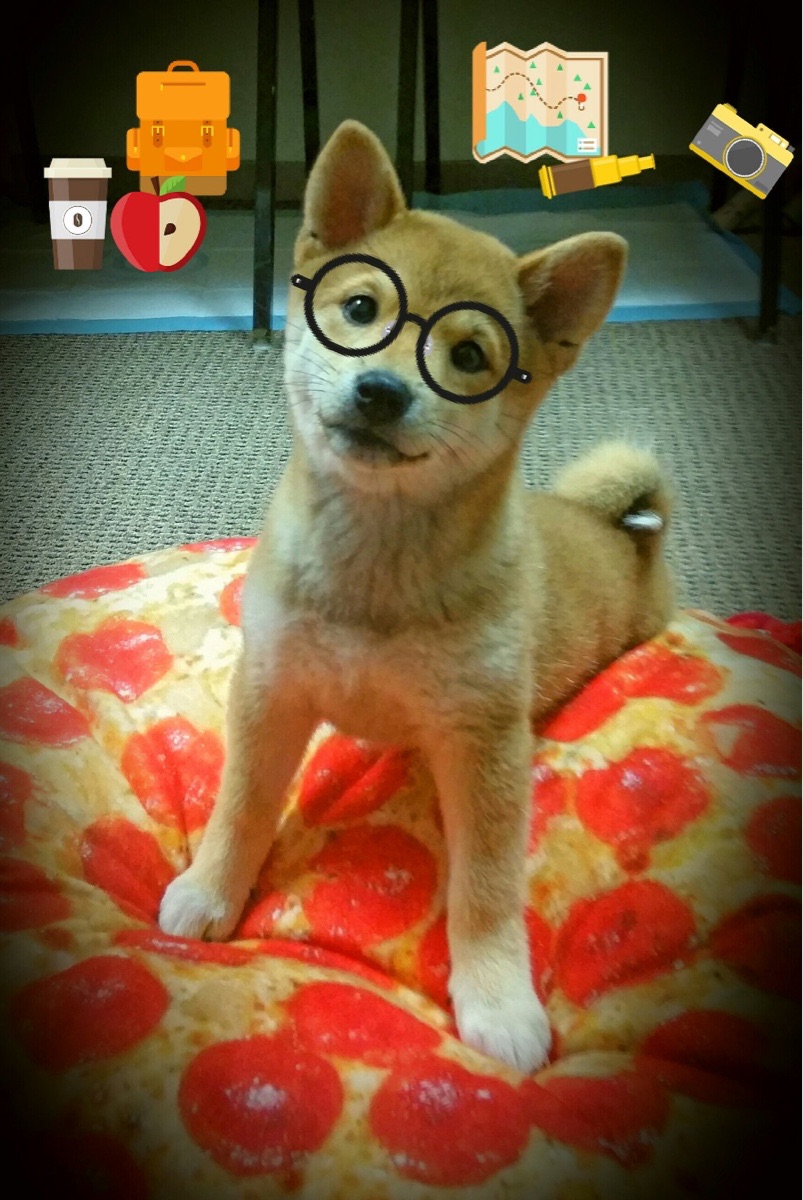 运动员营养配比科学调整优化体能储备,运动员 营养