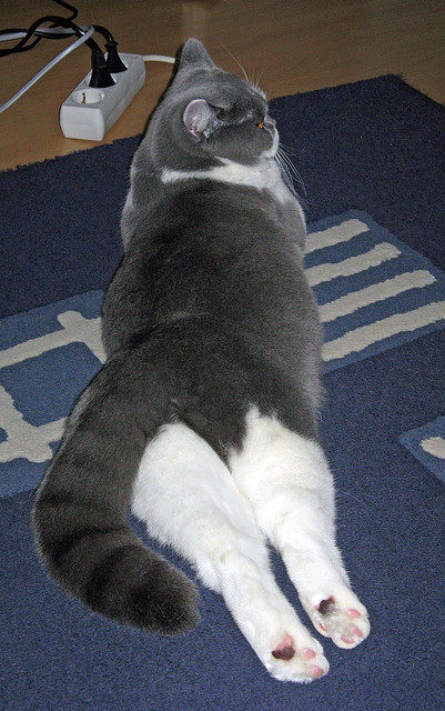 青训球员晋级职业通道缺乏竞争性平台,青训选手怎么办