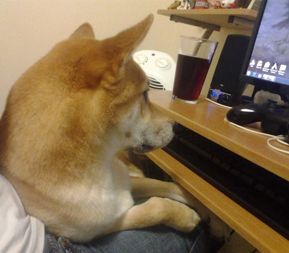 “亚戈·卡尔曼:阿根廷美洲狮队的全能球员,未来充满光明”