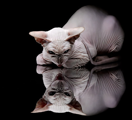 中国足球国家队后备力量培养体系健全,校园足球后备人才培养