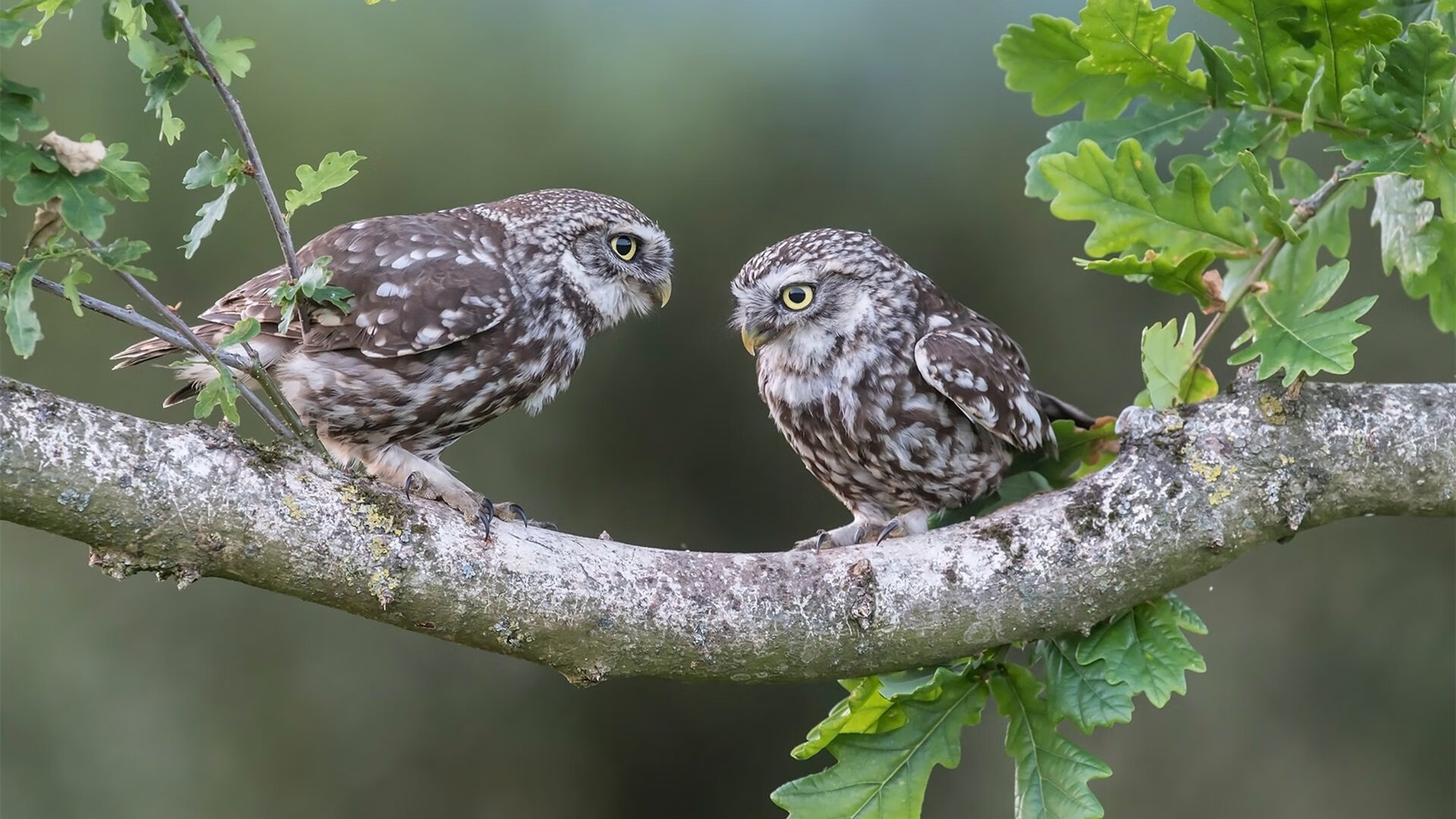 体育新闻中心运动装备革新,体育新闻报道