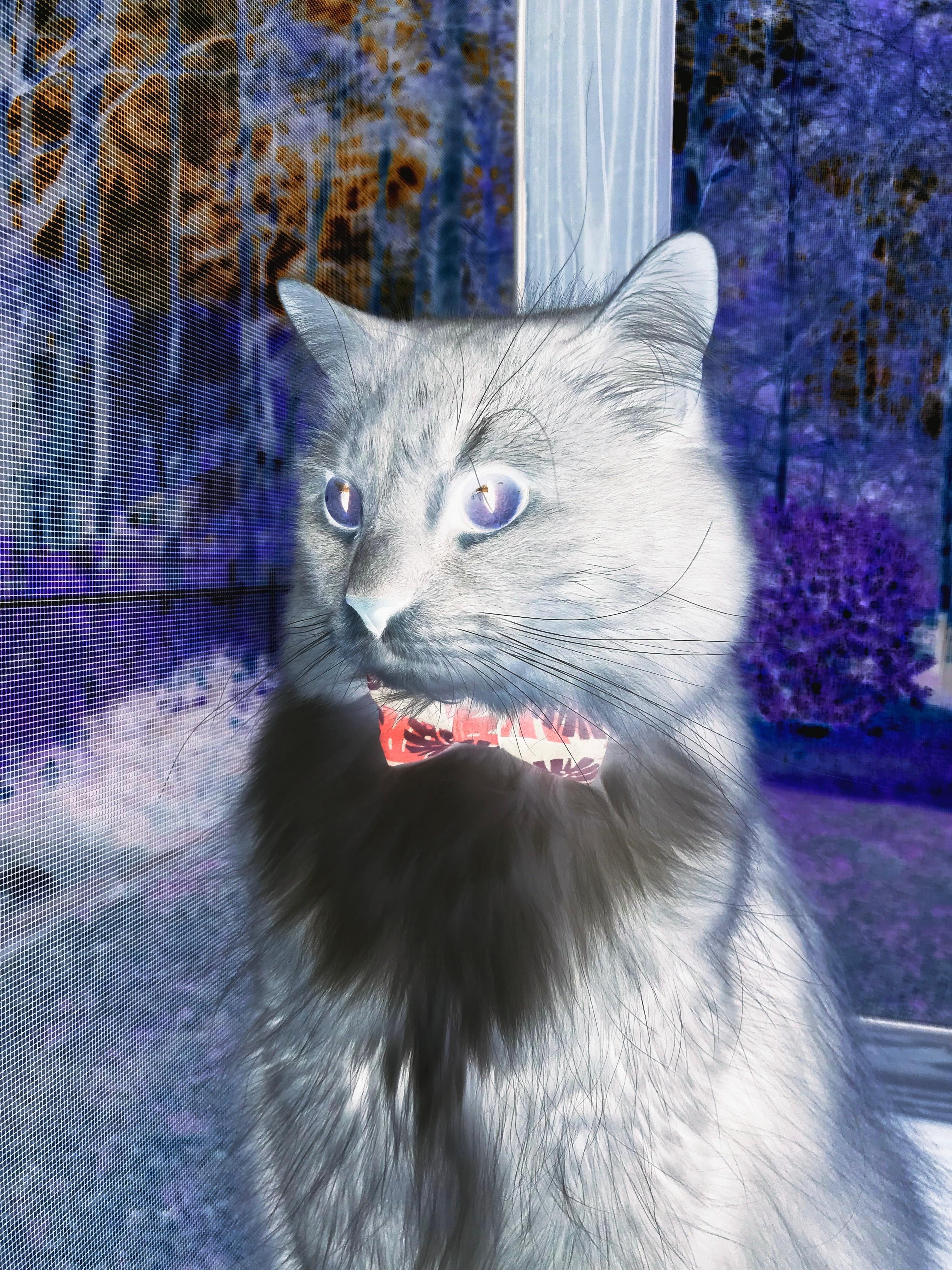 全队开展公益助学行动通过体育传递温暖践行社会责任,助学公益活动简讯