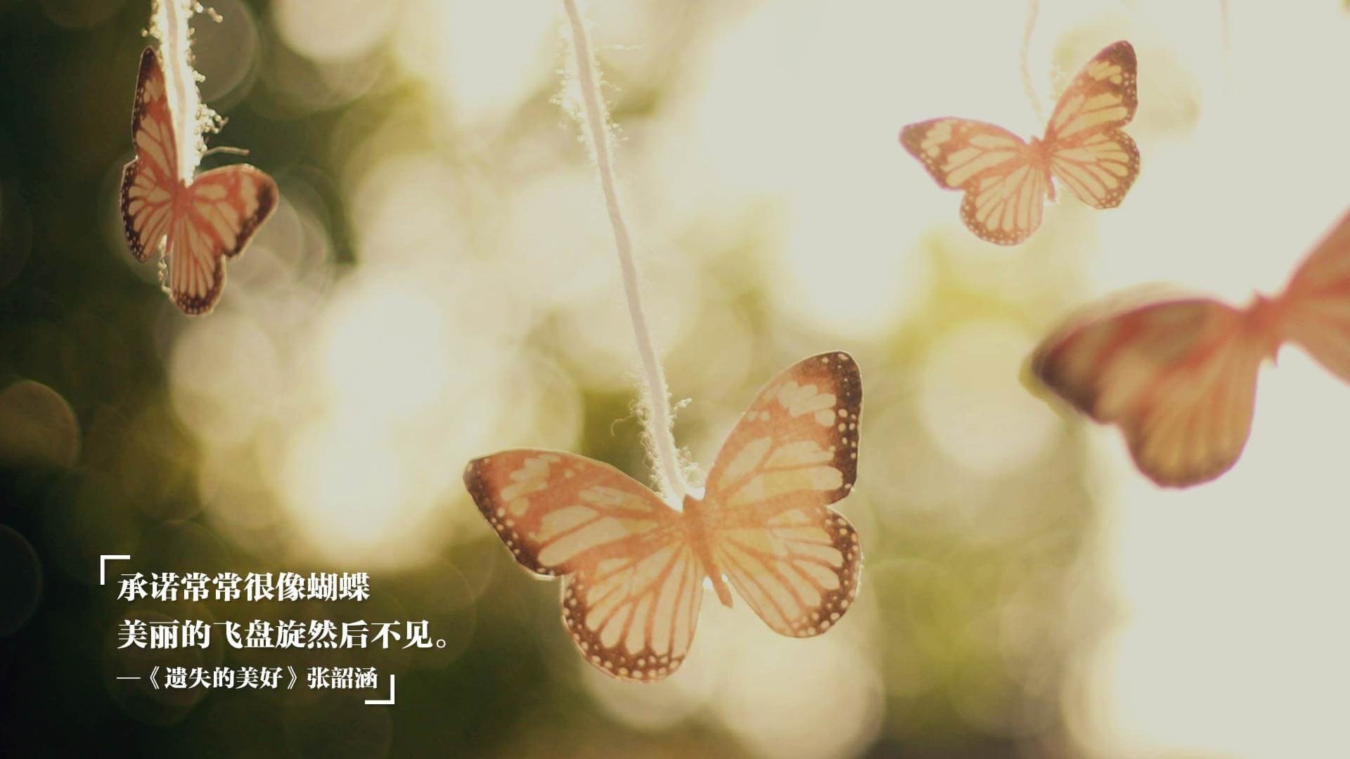 九游（jiuyou.com）游戏-南非羚羊队：在防守端的高强度对抗令所有对手无力反击，南非羚羊银币