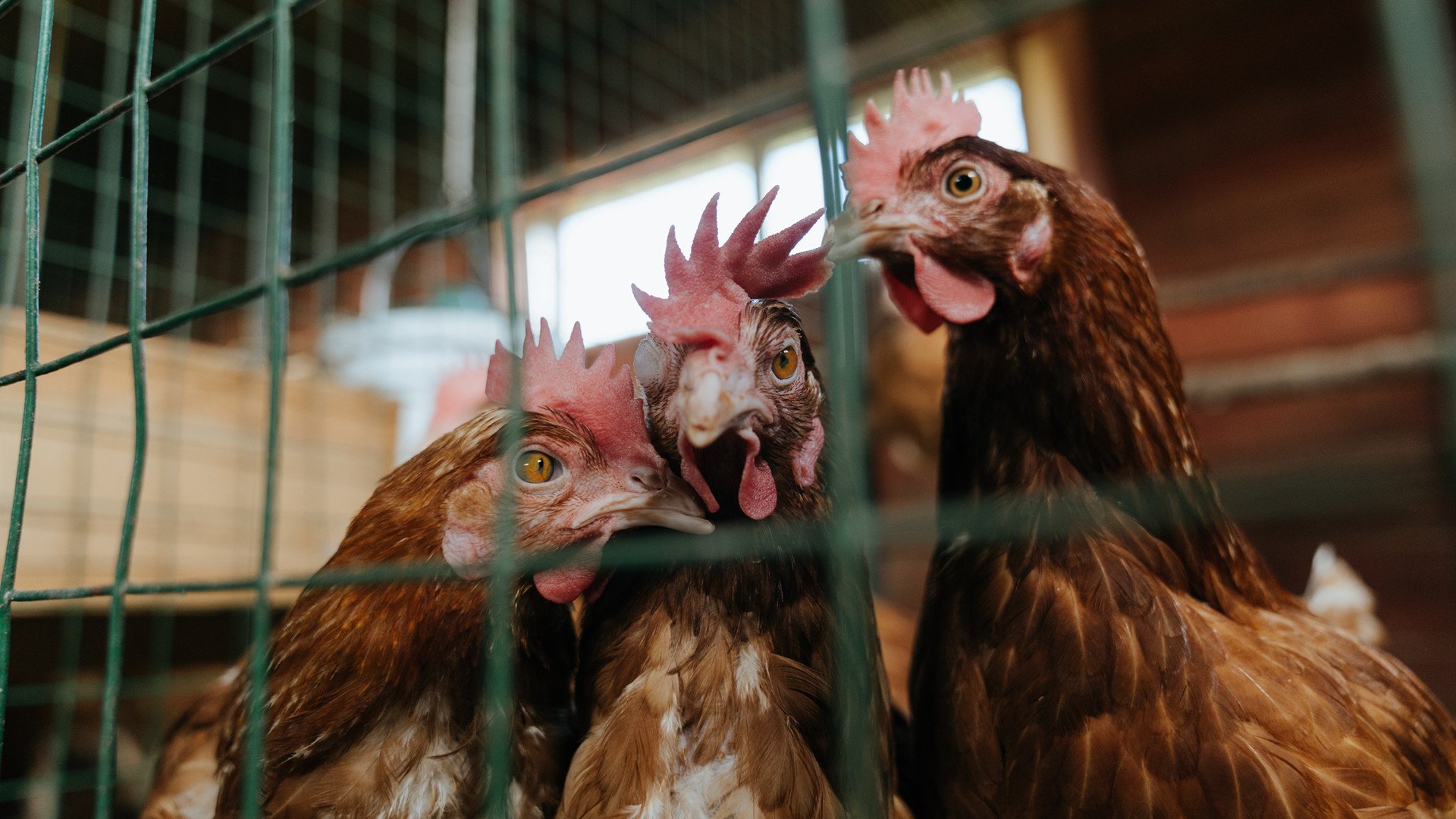 曼联前队长评价球队精神重建,曼联前队长评价球队精神重建的句子