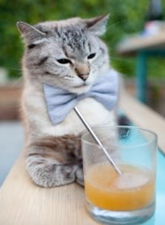 校园篮球推动性别平衡女生参与率持续走高,校园篮球女神