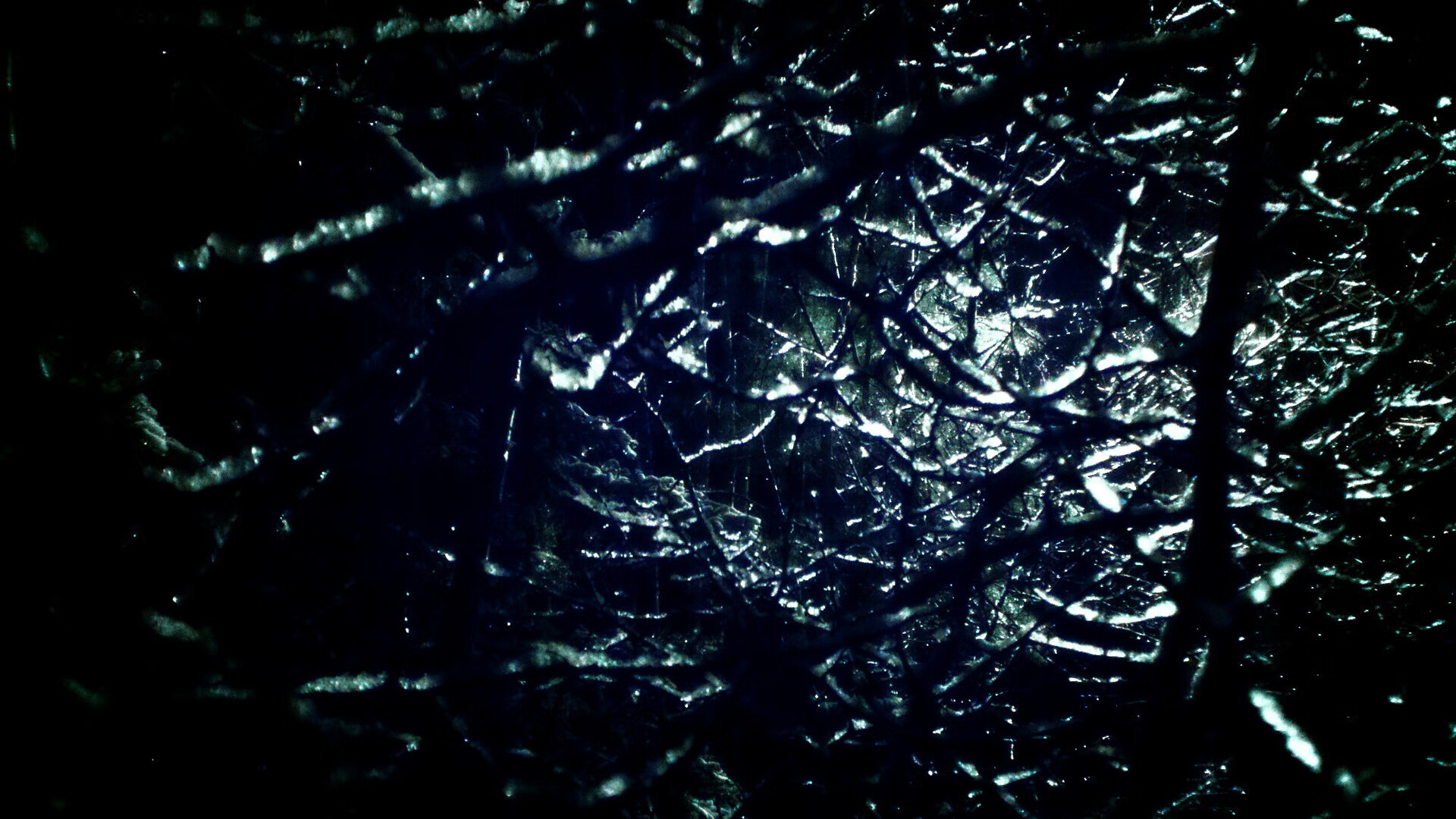 校园篮球杯决赛热度持续升高引发社交平台热议,校园篮球赛赛程