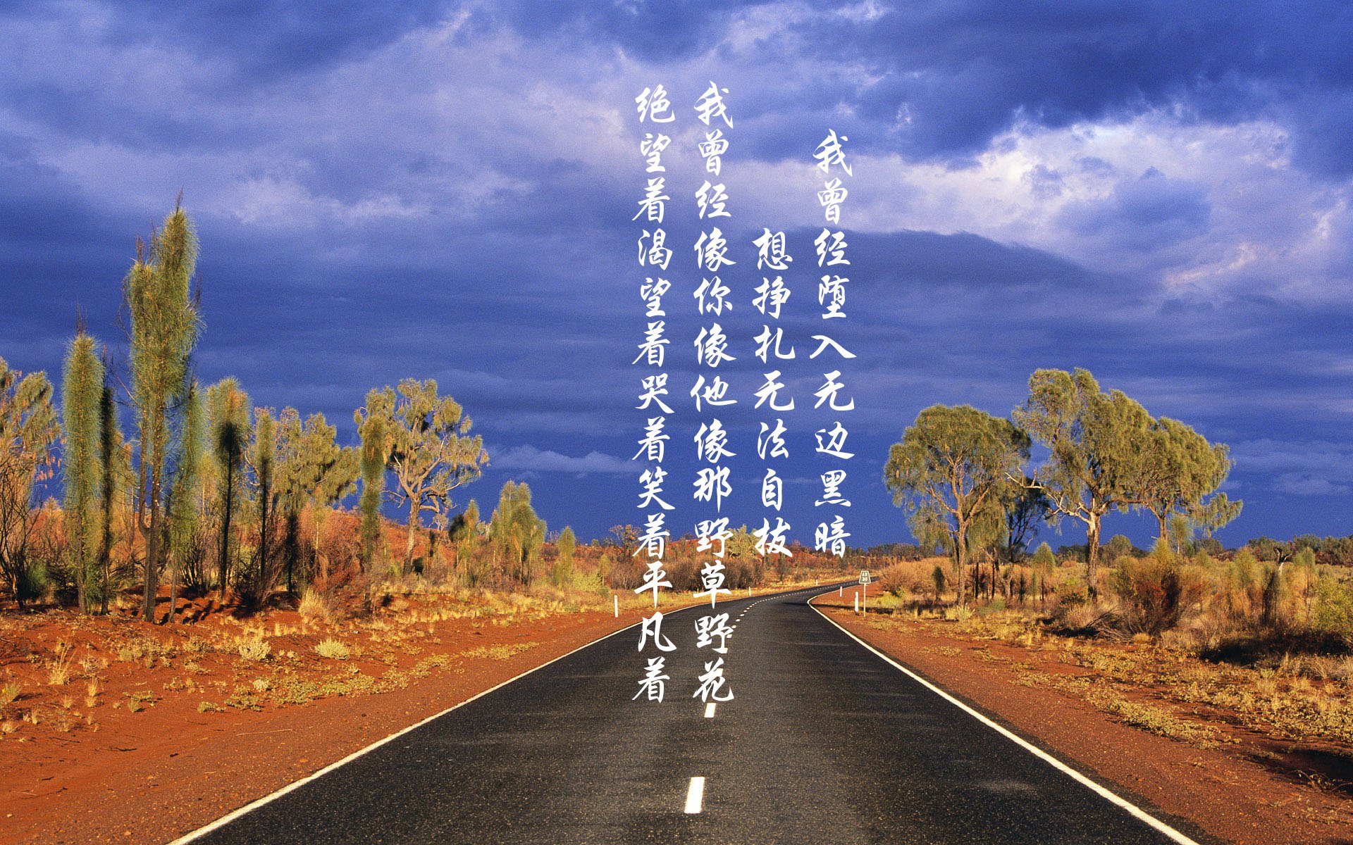 梅尔滕斯保持高速输出 展现强心脏,梅尔滕斯男友真帅