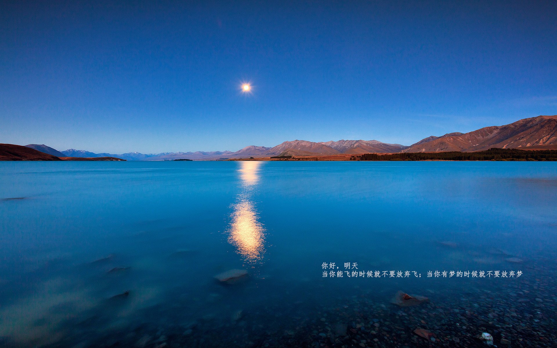 水球比赛比利时防守坚固,最新水球比赛规则