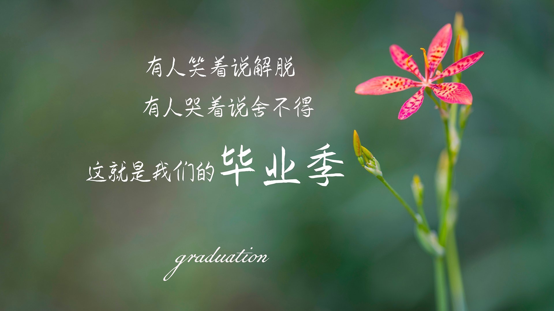 美洲杯逆境捍卫者:英雄崛起驭风而行!,美洲杯读秒绝杀